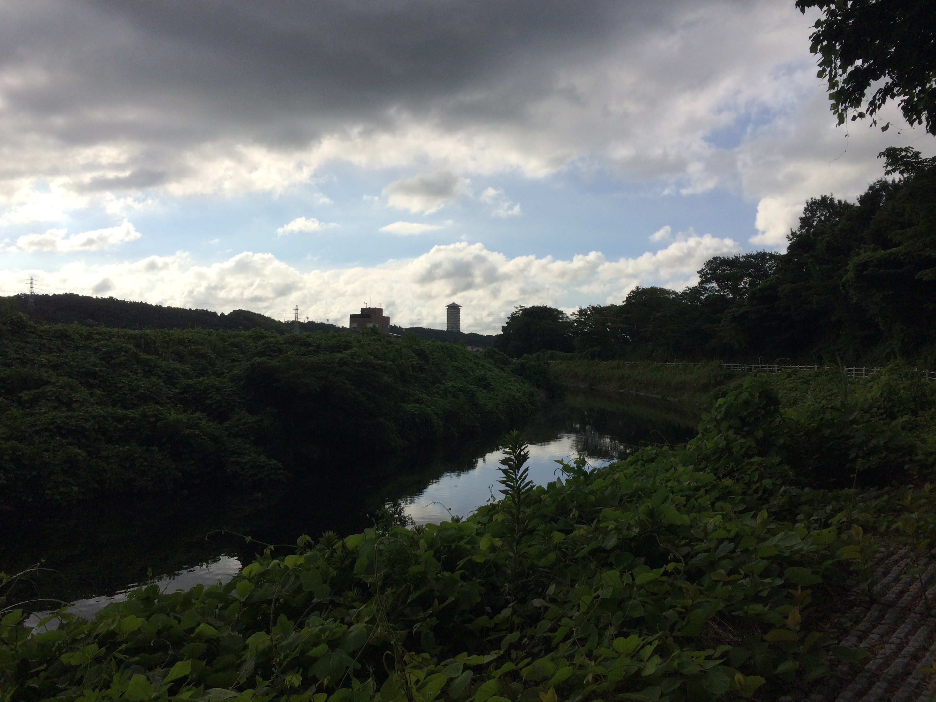 8 km 自転車で治す