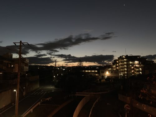 [2019/01/09] 抵抗勢力。 本日のハシリ。